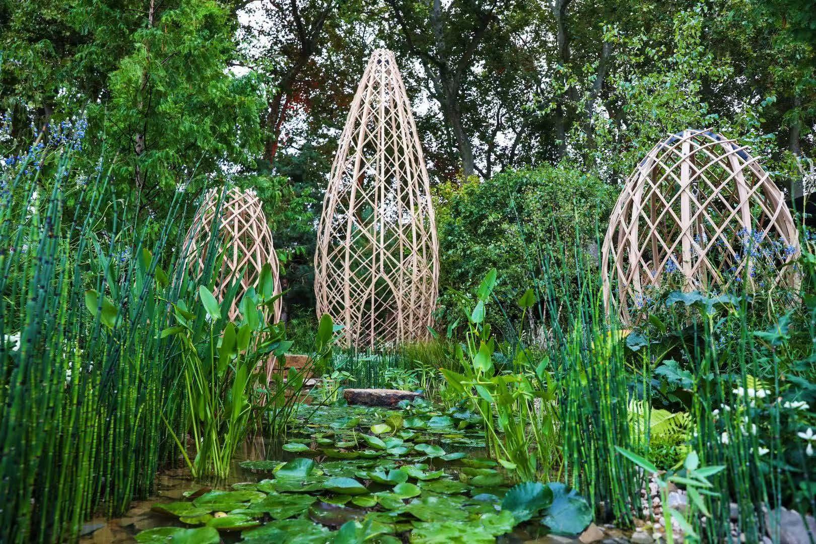 以花為媒，講好中國故事：“廣州花園”獲得百年切爾西花展金獎