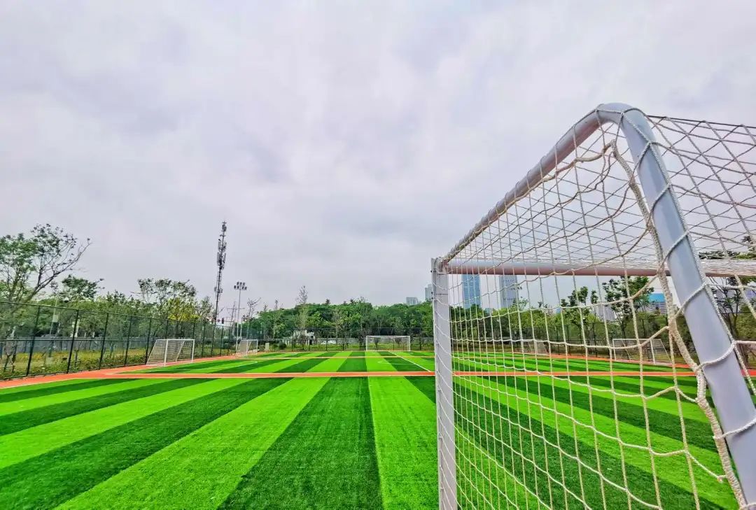 以人口為“定位器”布局體育公園，彰顯民生含金量