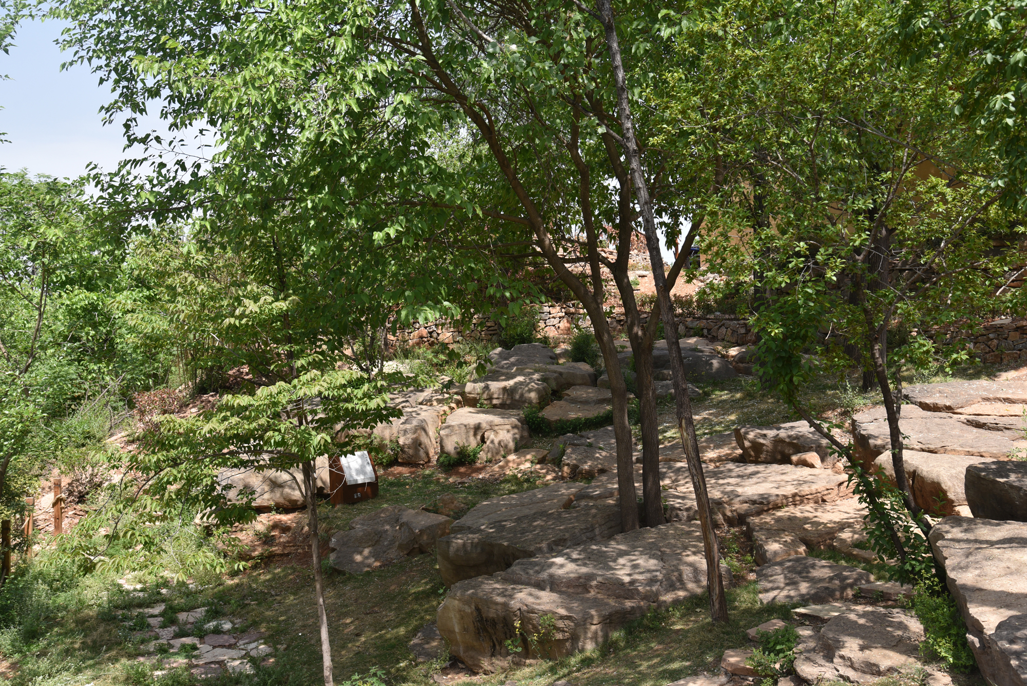 4.原鄉(xiāng)文化-風(fēng)脈石林、八仙臺.JPG